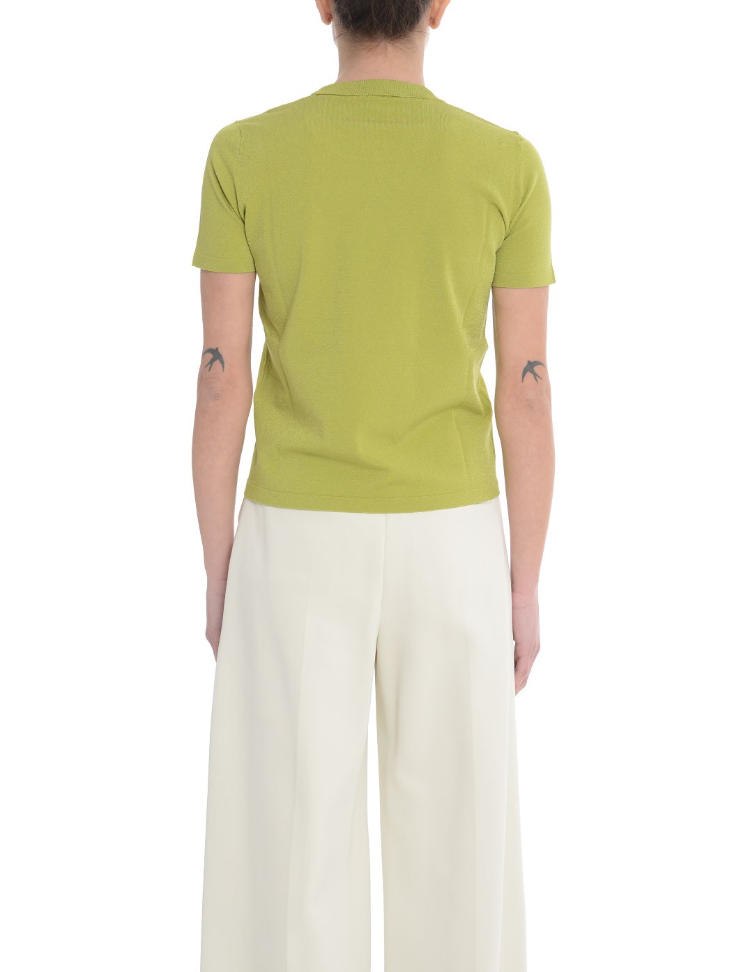 ROBERTO COLLINA T31021